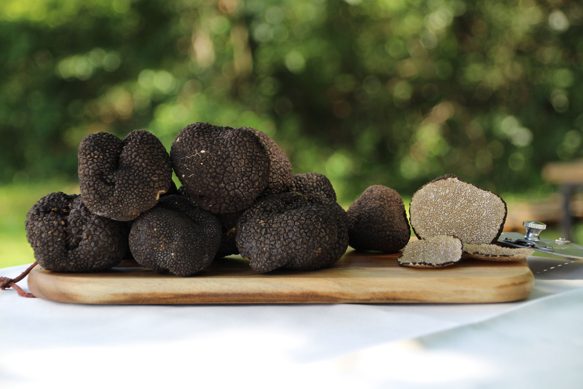 Снимка на Dried and frozen truffles