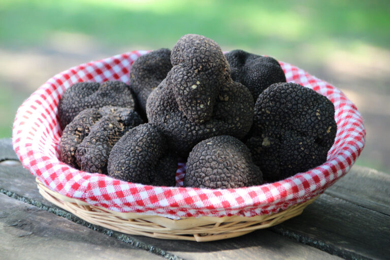 Снимка на Dried and frozen truffles