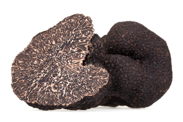 Types of Truffles – A Complete Guide to Gourmet Cuisine image