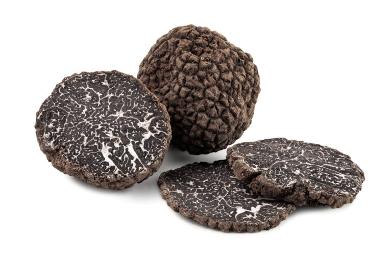 Tuber melanosporum — A Professional B2B Guide to the Black Winter Truffle image